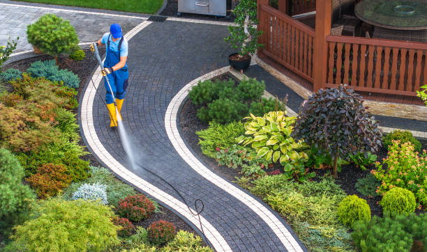 Best Pressure Washing Services Near Me  in Salem, IL